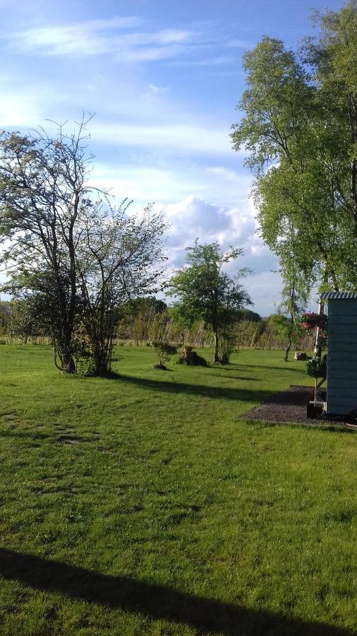Hopgarden Glamping - Luxury 6M Bell Tent Wadhurst Exterior photo